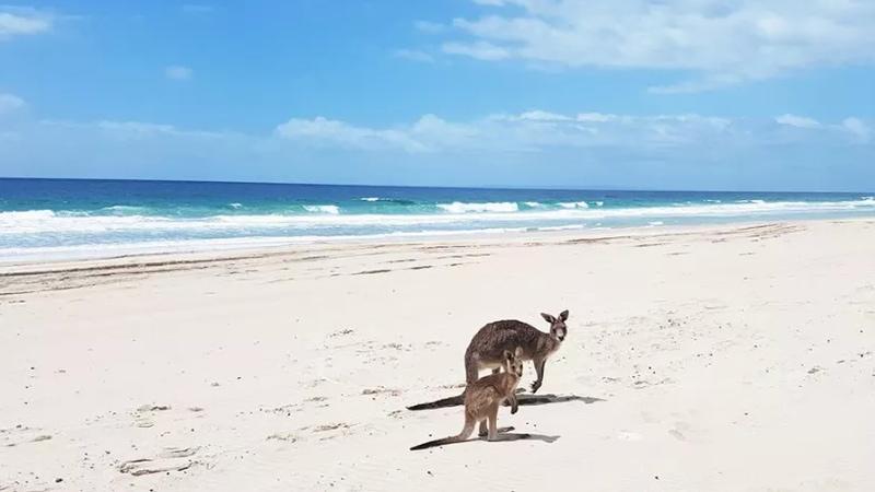 Bribie Island National Park beach